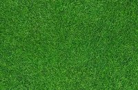 Forbo Flotex Image 000434 energy, 000369 grass