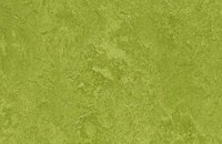 Forbo Marmoleum  Fresco 3267 aqua, 3247 green