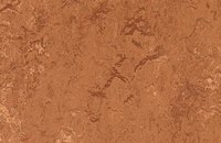 Forbo Marmoleum  Real 2629 eiger, 2767 rust