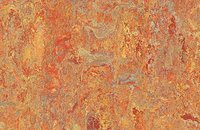 Forbo Marmoleum Vivace 3411 sunny day, 3403 asian tiger