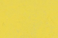 Forbo Marmoleum Decibel 314635 serene grey, 374135 yellow glow