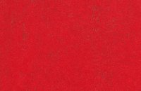 Forbo Marmoleum Decibel 324635 shrike, 374335 red glow