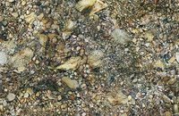 Forbo Flotex Image, 000368 riverbed
