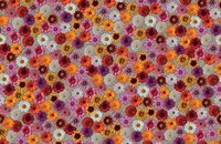 Forbo Flotex Image 000458 buttons, 000538 multifloral