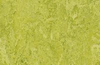 Forbo Marmoleum Authentic 3860 silver shadow, 3224 chartreuse