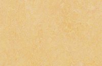 Forbo Marmoleum Authentic 3075 shell, 3846 natural corn