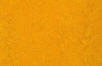 Forbo Marmoleum  Fresco 3251 lemon zest, 3125 golden sunset