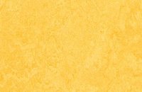 Forbo Marmoleum  Fresco 3259 mustard, 3251 lemon zest