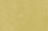 Forbo Marmoleum  Fresco 3260 leaf, 3259 mustard