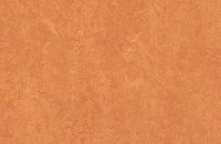 Forbo Marmoleum  Fresco 3131 scarlet, 3825 African desert