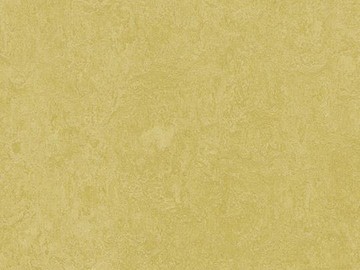 Forbo Marmoleum  Fresco 3259 mustard
