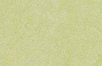 Forbo Marmoleum  Real 3136 concrete, 3881 green wellness