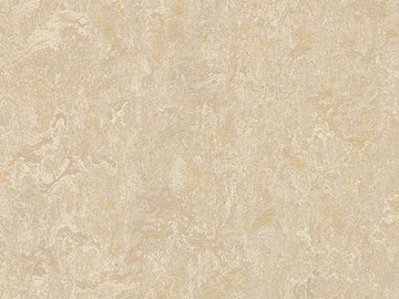 Forbo Marmoleum  Real 2499 sand