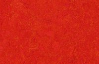 Forbo Marmoleum Click 333872-633872 volcanic ash, 333131 scarlet