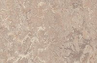 Forbo Marmoleum Modular te5217 withered prairie, t3232 horse roan